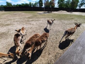 20230602_105705
