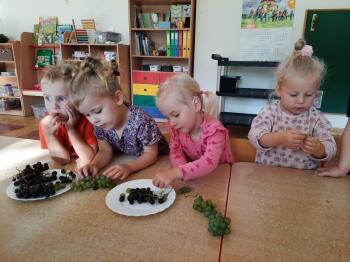 IMG-20230915-WA0015