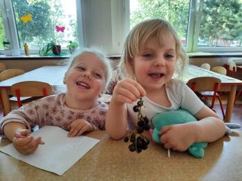 IMG-20230915-WA0016