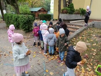 IMG20231019124744
