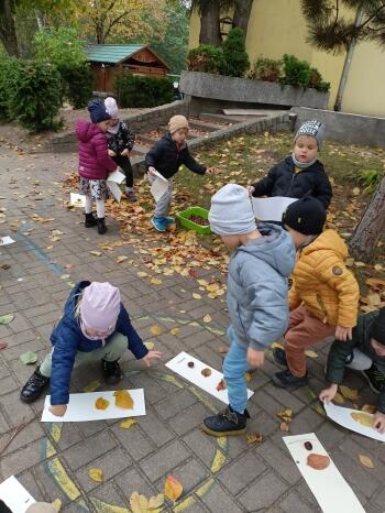 IMG20231019125032