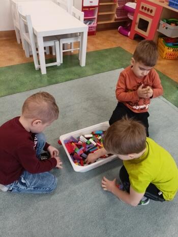 IMG20240110104450