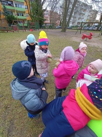 IMG20240207111049
