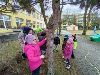 IMG20240207111558