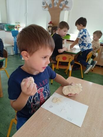 IMG20240223095259