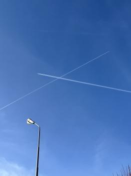 IMG_1427.JPG