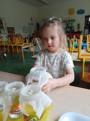IMG20240411145241