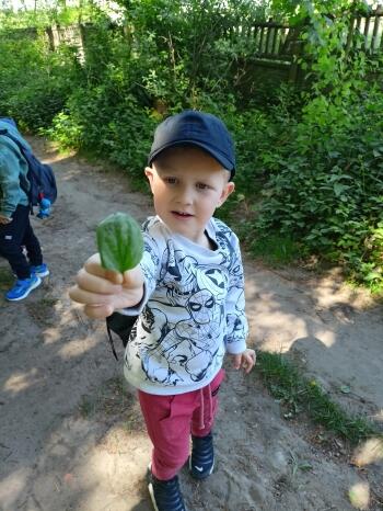 IMG20240509121733