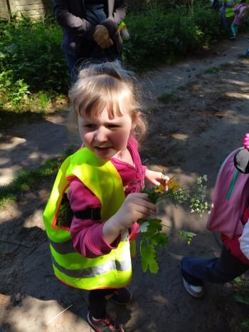 IMG20240509122002