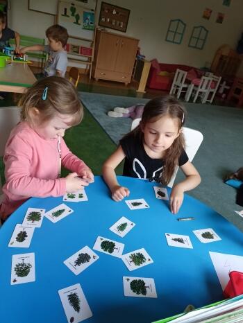 IMG20240425130346
