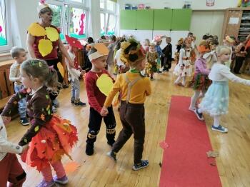 IMG_20241105_093615