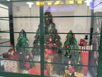 IMG20241211110132