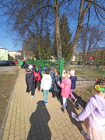 IMG20250321104045