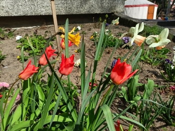 IMG20250409142636