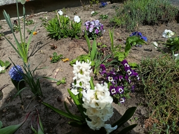 IMG20250409142659