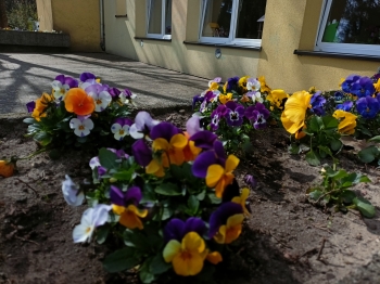 IMG20250409142728