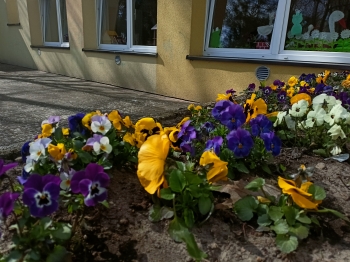 IMG20250409142733