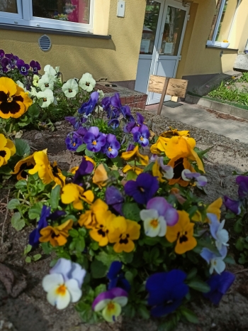 IMG20250409142741