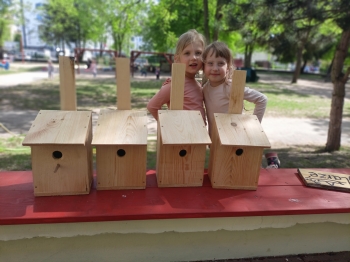 IMG20250429140144