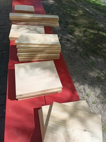 IMG20250429114938