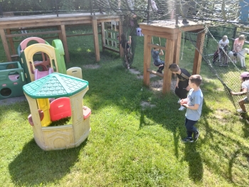 IMG20250514111625