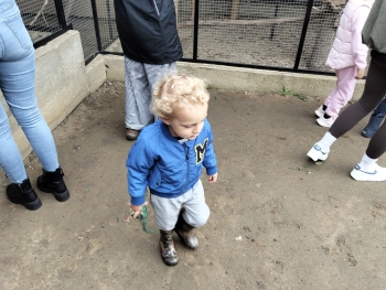 IMG-20250922-WA0035