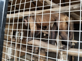 IMG-20250922-WA0028