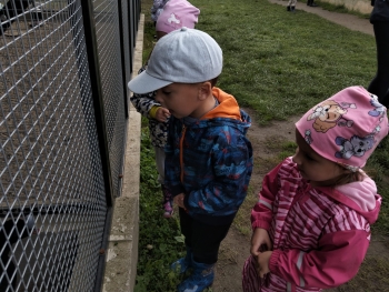 IMG-20250922-WA0024