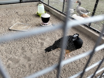 IMG-20250922-WA0021