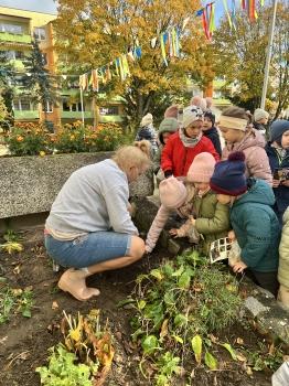 IMG_0595 — kopia.JPG