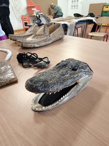 .trashed-1767722762-IMG-20251202-WA0015