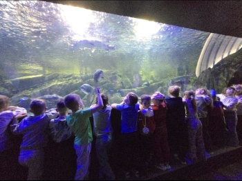 Screenshot_20260521_225039_Gallery
