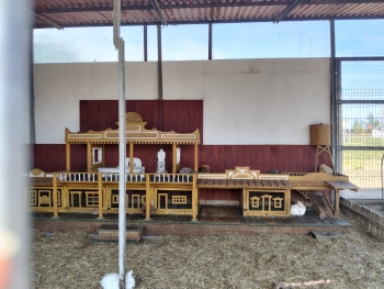 IMG20260601110316