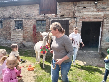 IMG20260617110039