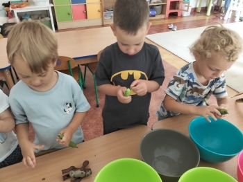 IMG20260703104527