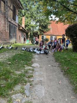 IMG_5537.JPG