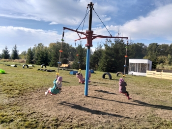 IMG20261016111202