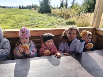 IMG20261016123152