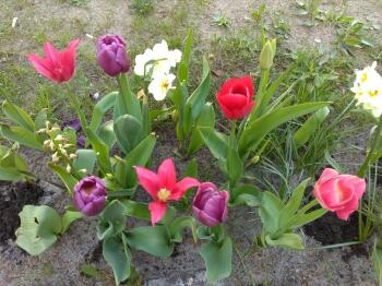 IMG_20190430_112444