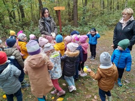 Zuchy w Kliniskach