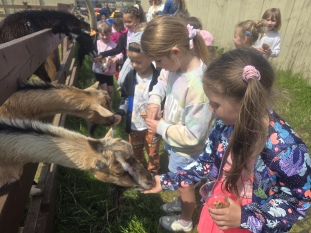Dzień Dziecka w DonkeySzot Minizoo